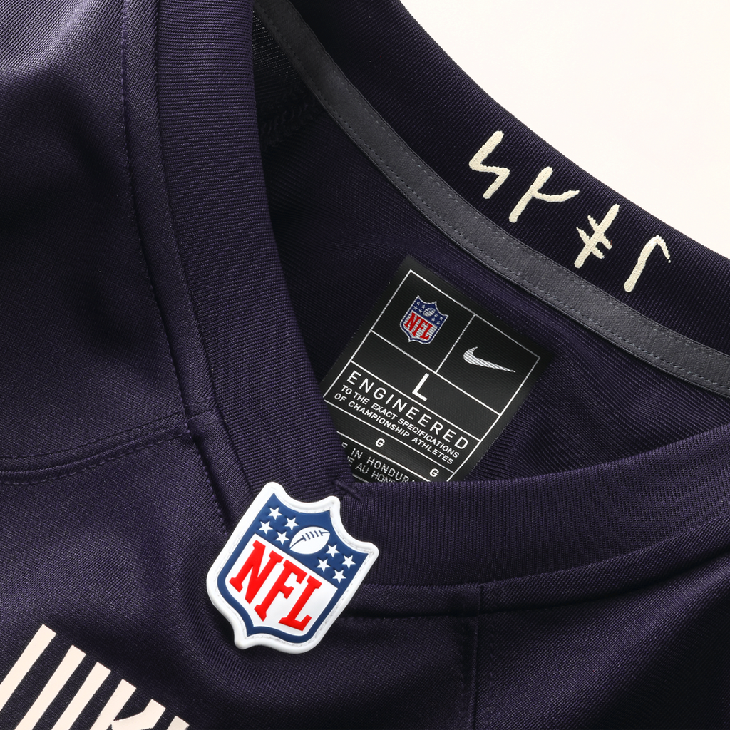 Minnesota Vikings Andrew Van Ginkel Purple 2026 Rivalries Collection Game Jersey