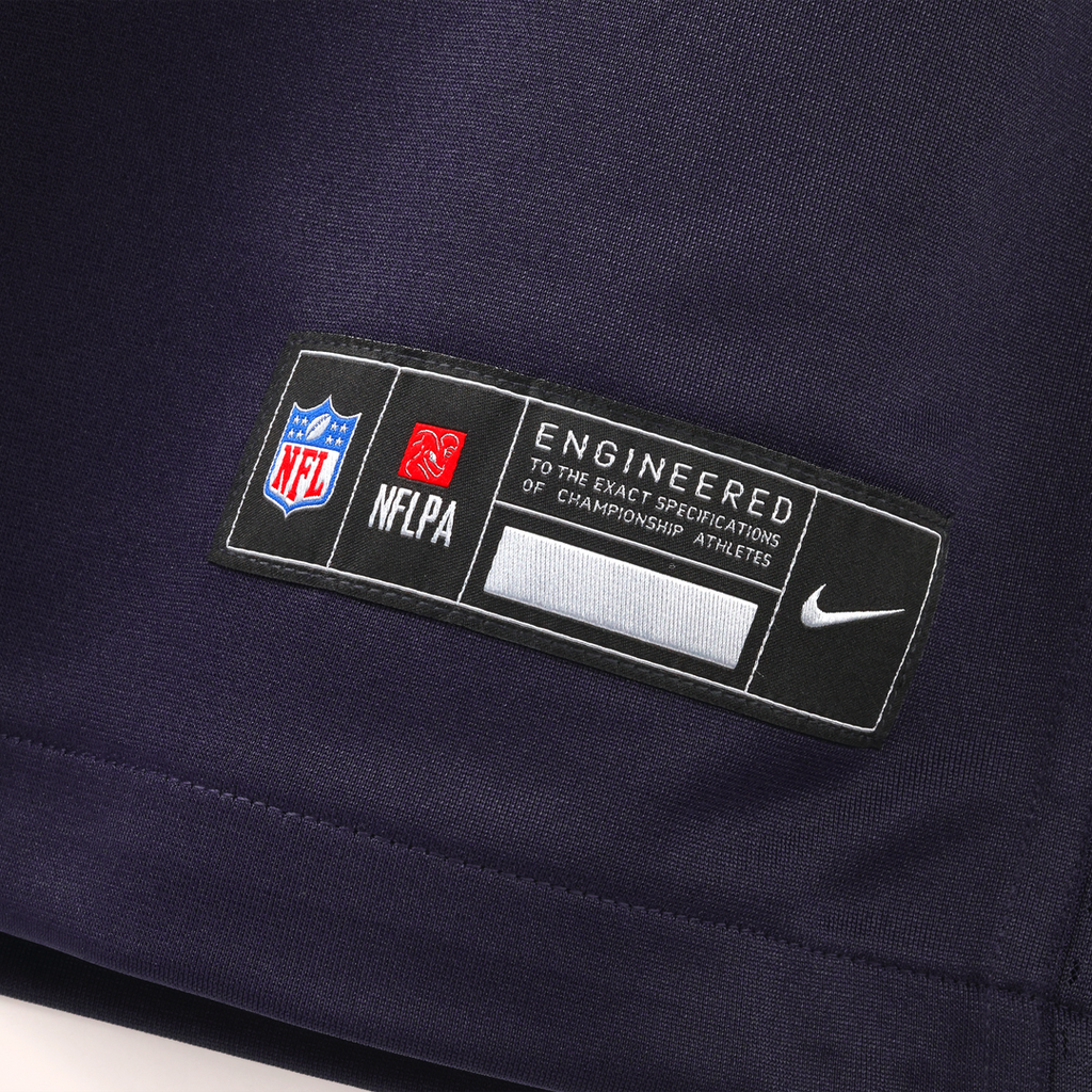 Minnesota Vikings Andrew Van Ginkel Purple 2026 Rivalries Collection Game Jersey