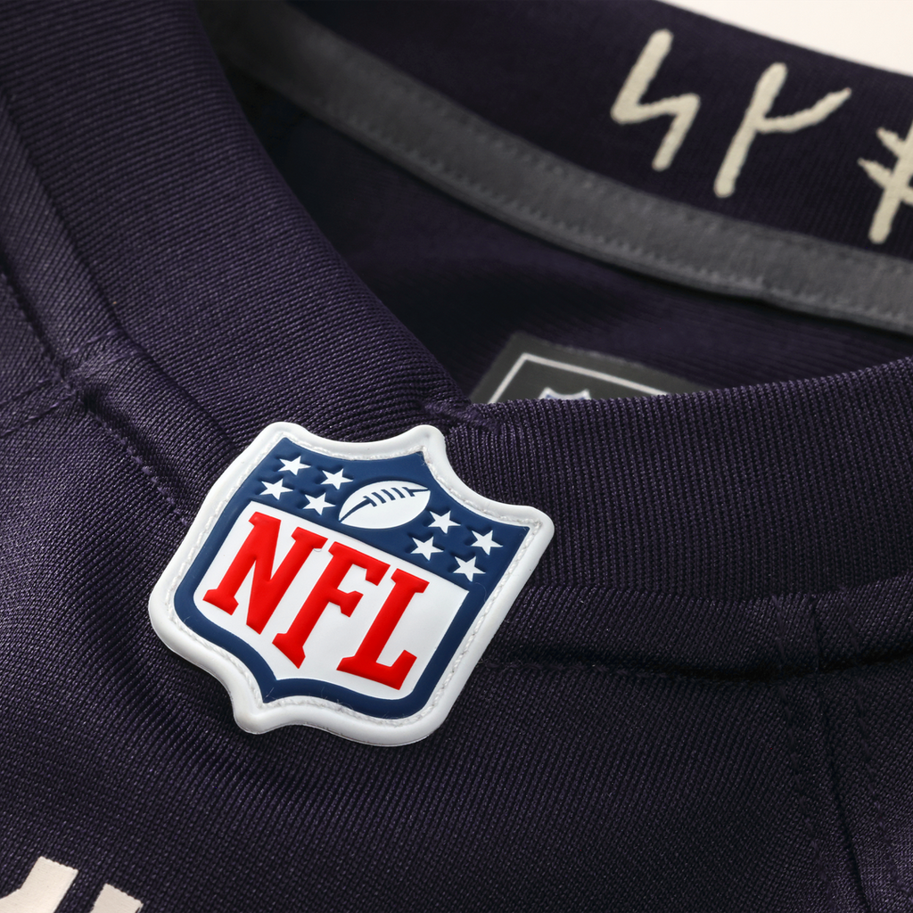 Minnesota Vikings Andrew Van Ginkel Purple 2026 Rivalries Collection Game Jersey
