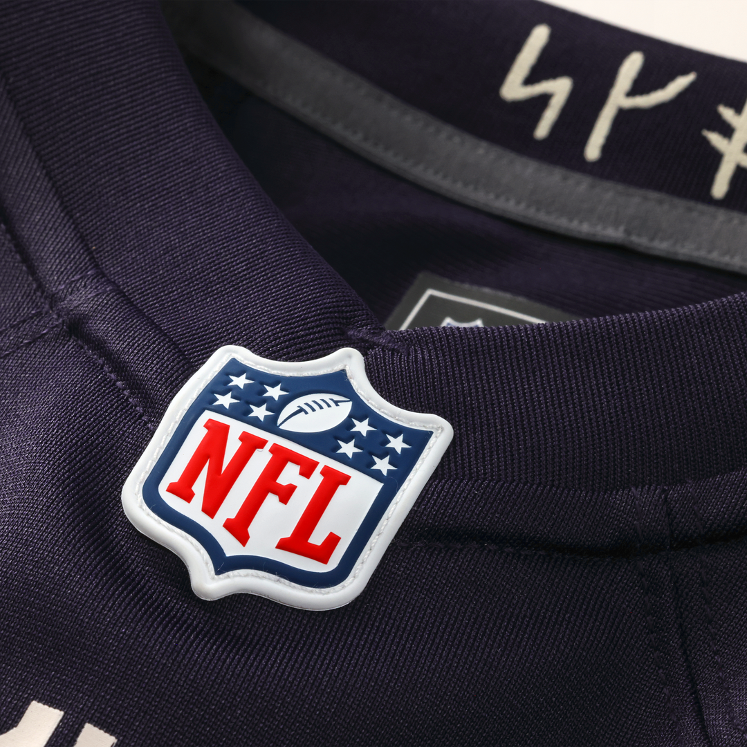 Minnesota Vikings Andrew Van Ginkel Purple 2026 Rivalries Collection Game Jersey